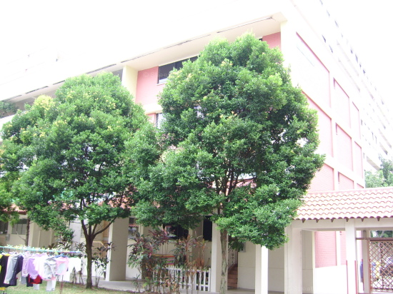 Blk 402 Tampines Street 41 (Tampines), HDB 4 Rooms #95182